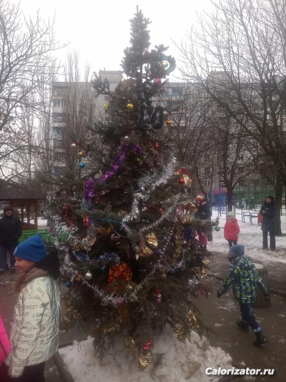 IMG 20211225 121723