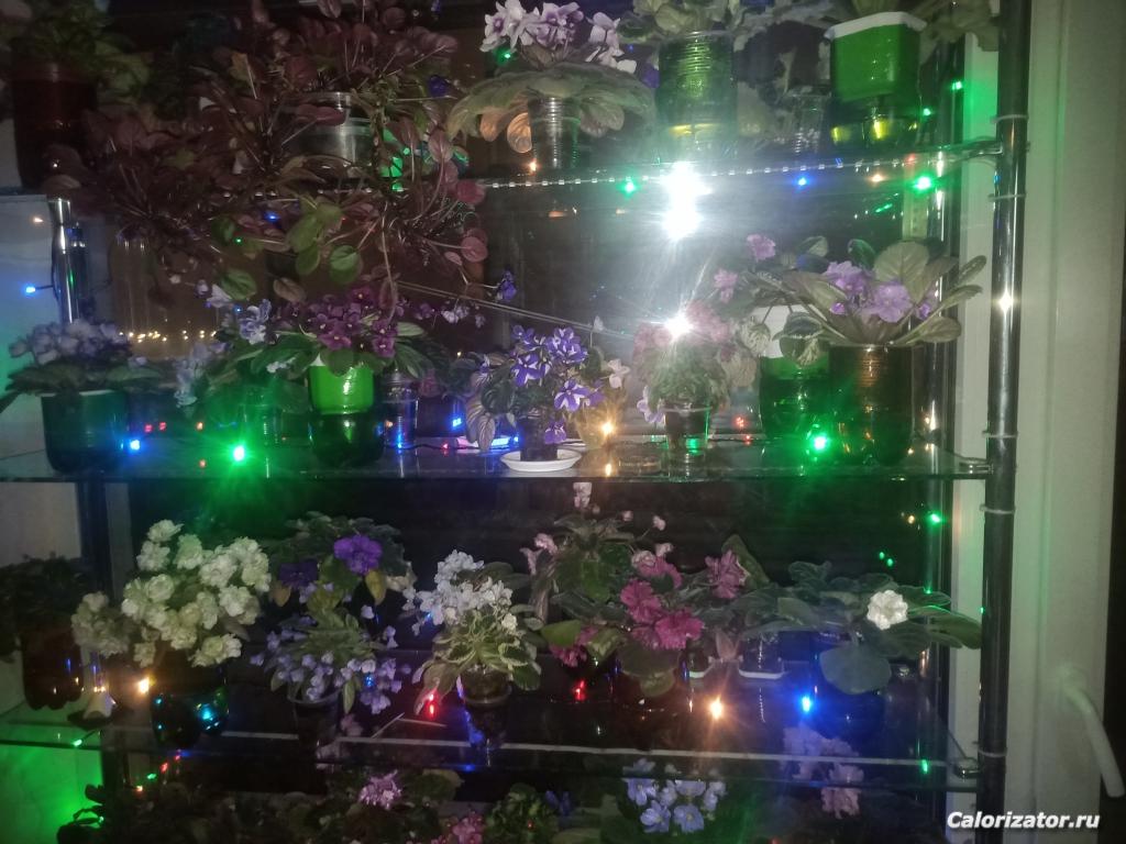 IMG 20211231 194712