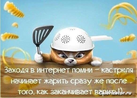Кастрюля