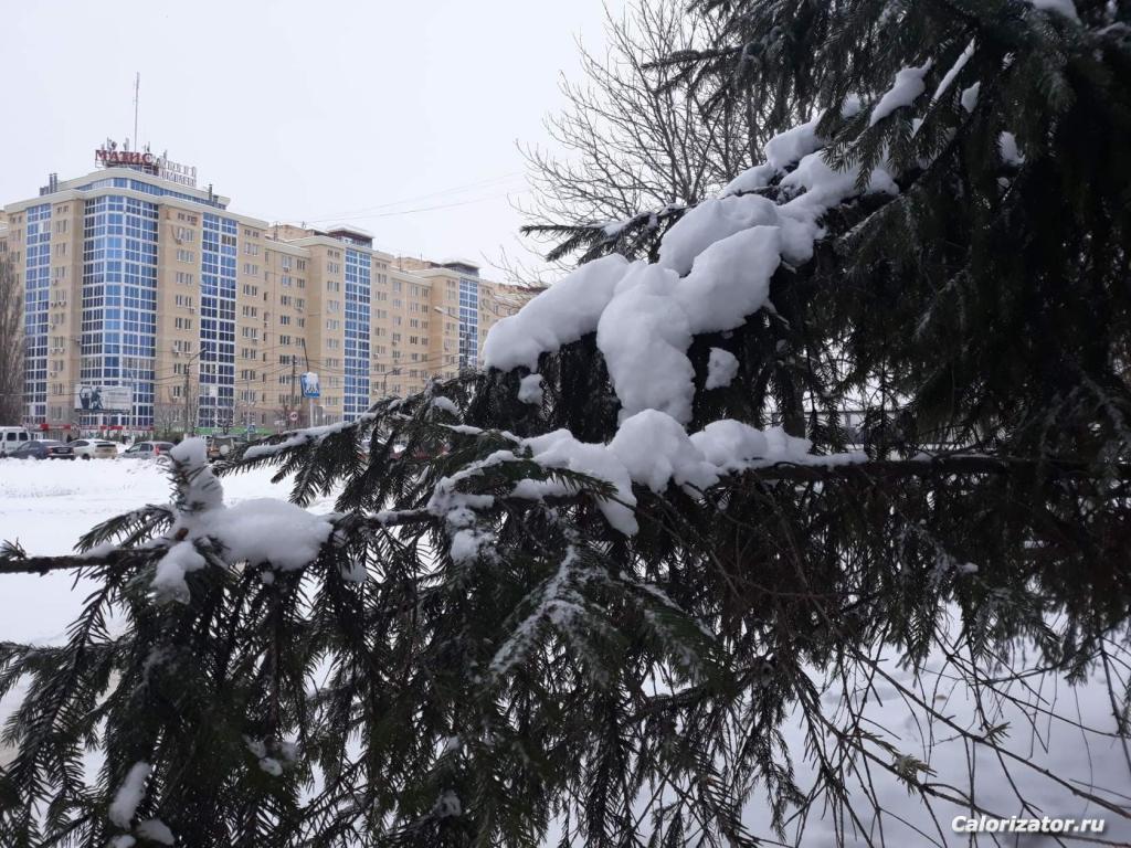 IMG 20190124 155735