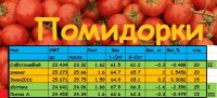 помидорки