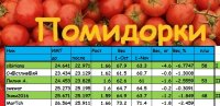 помидорки