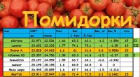 помидорки