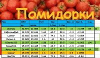 помидорки