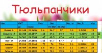 ТЮЛЬП