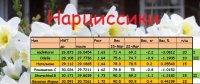 НАРЦ