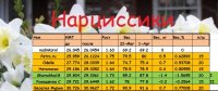 НАРЦ