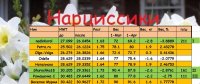 НАРЦ