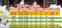 НАРЦ