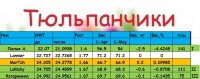 ТЮЛЬП