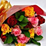IMG-20180308-WA0027[1]