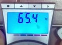 65.4