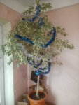 IMG 20211219 155723