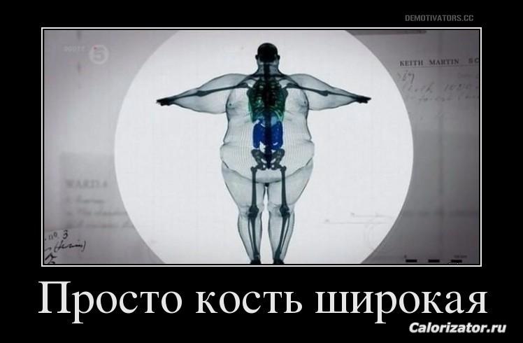 кость широкая