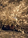 IMG 20190222 182054