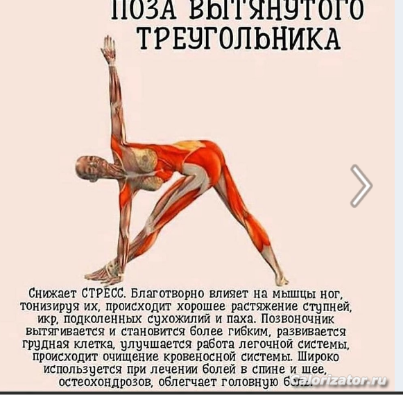 Снимок