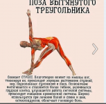 Снимок