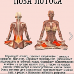 Снимок