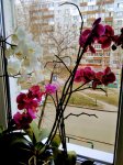 IMG 20190422 144910