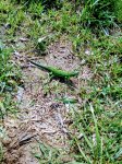 IMG 20190506 085711