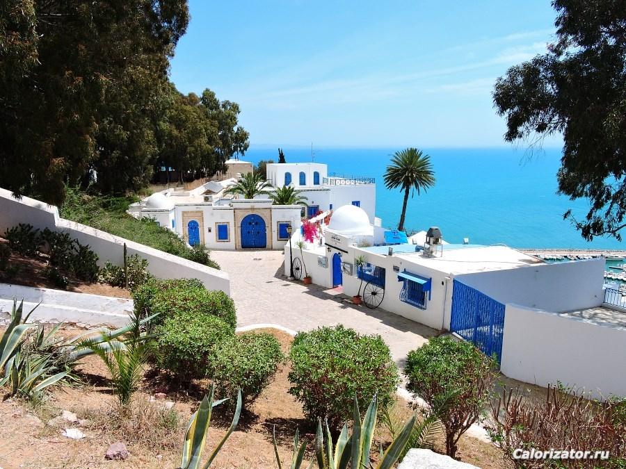 tunis-sidi-bou-said-1