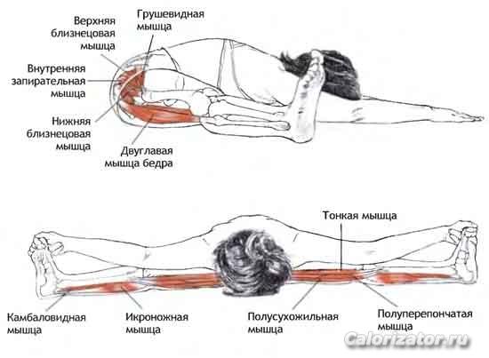 upavistha konasana1