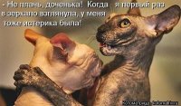 13442335.dlj Veri