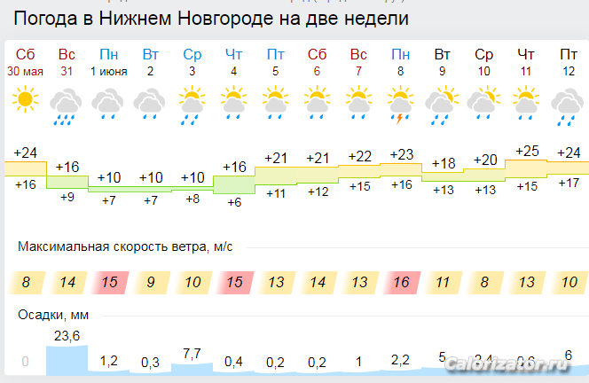 Снимок