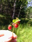 P 20200711 120603