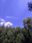 P 20200711 120633