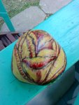 DSC00499