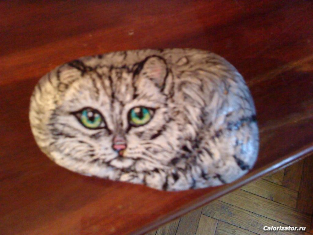 Кошка РУСТЯ