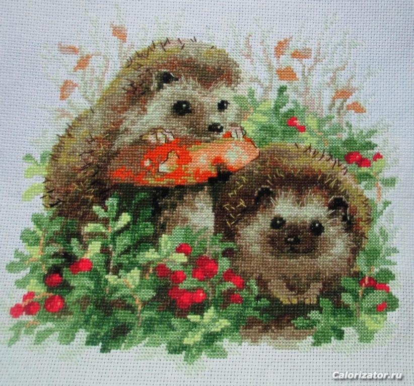 image (4)