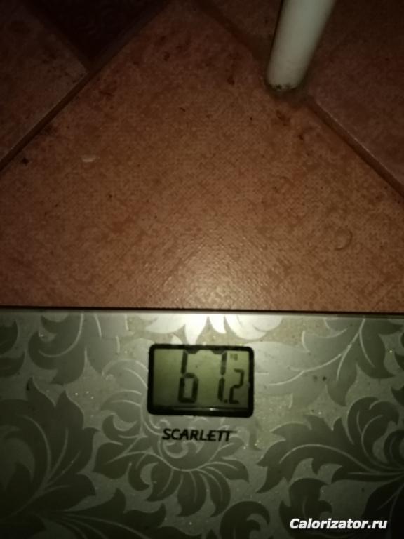 IMG 20231013 061901