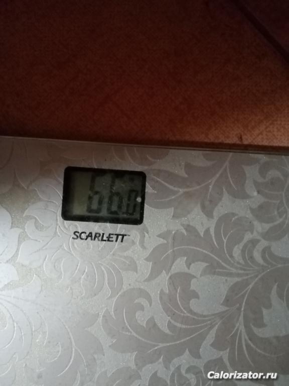 IMG 20231028 080536