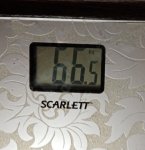 IMG 20201204 064928