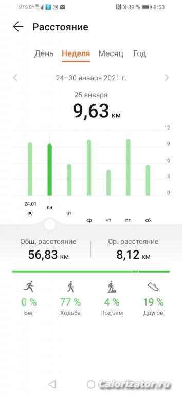 Screenshot 20210201 085345 com.huawei.health
