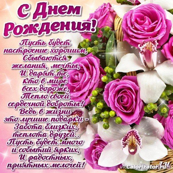 pkHLU6zXUiw