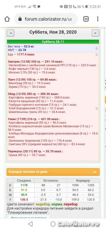 Screenshot 20201128 223129 com.android.chrome