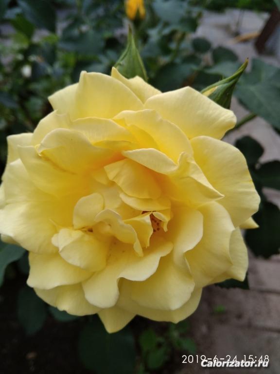 IMG 20190624 154857