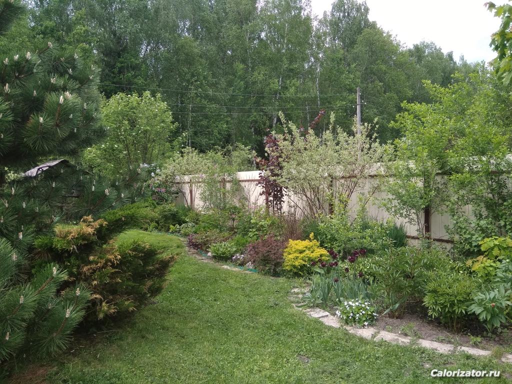 IMG 20180523 124743