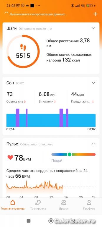 Screenshot 2023-01-28-21-03-55-265 com.xiaomi.hm.health