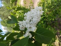 IMG 20220604 125133