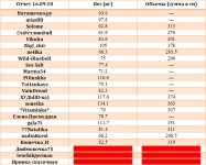 отчет 16.09