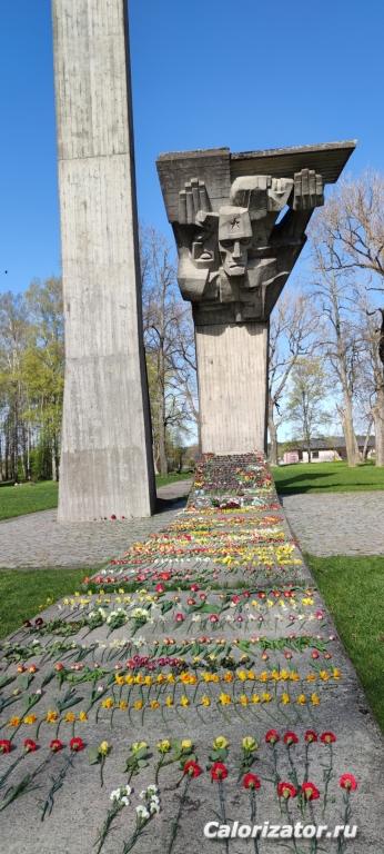 Саласпилс, примерно 10 часов утра.