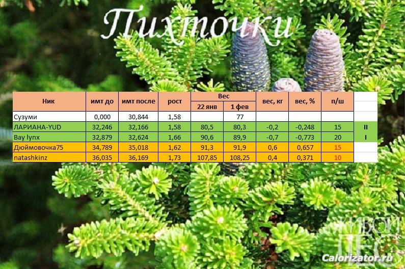 пихточки3