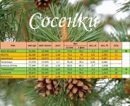 сосенки3