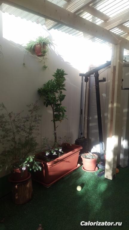 IMAG0758