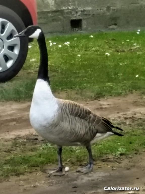 IMG 20190330 141301833 HDR