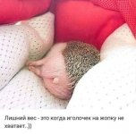 IMG 20190923 215214